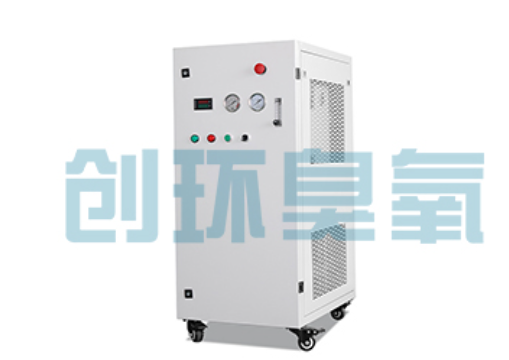 涞水石斑鱼养殖水质调控完整指南：臭氧发生器配置与操作步骤