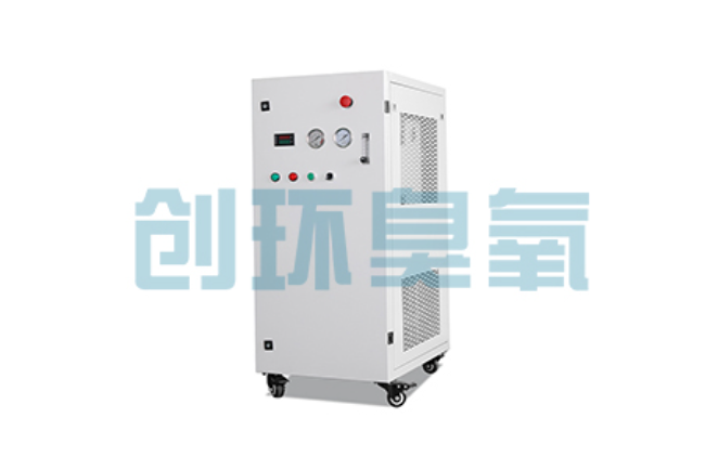 涞水比传统换水更高效？臭氧发生器在石斑鱼养殖中的水质净化原理解析