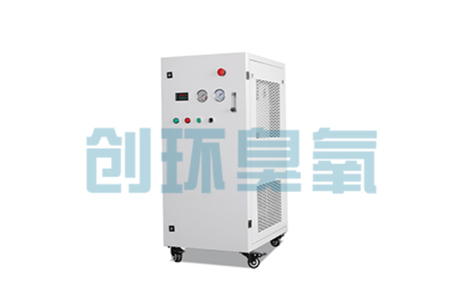 涞水比传统换水更高效？臭氧发生器在石斑鱼养殖中的水质净化原理解析